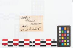 Etikett zu Bronzearmreif (NHMW-PRAE-026624)
